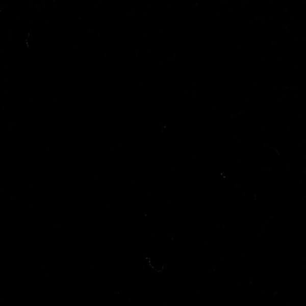 Devonstone Solid quilting cotton fabric in Deep Black from Chris Lucas Designs Australia